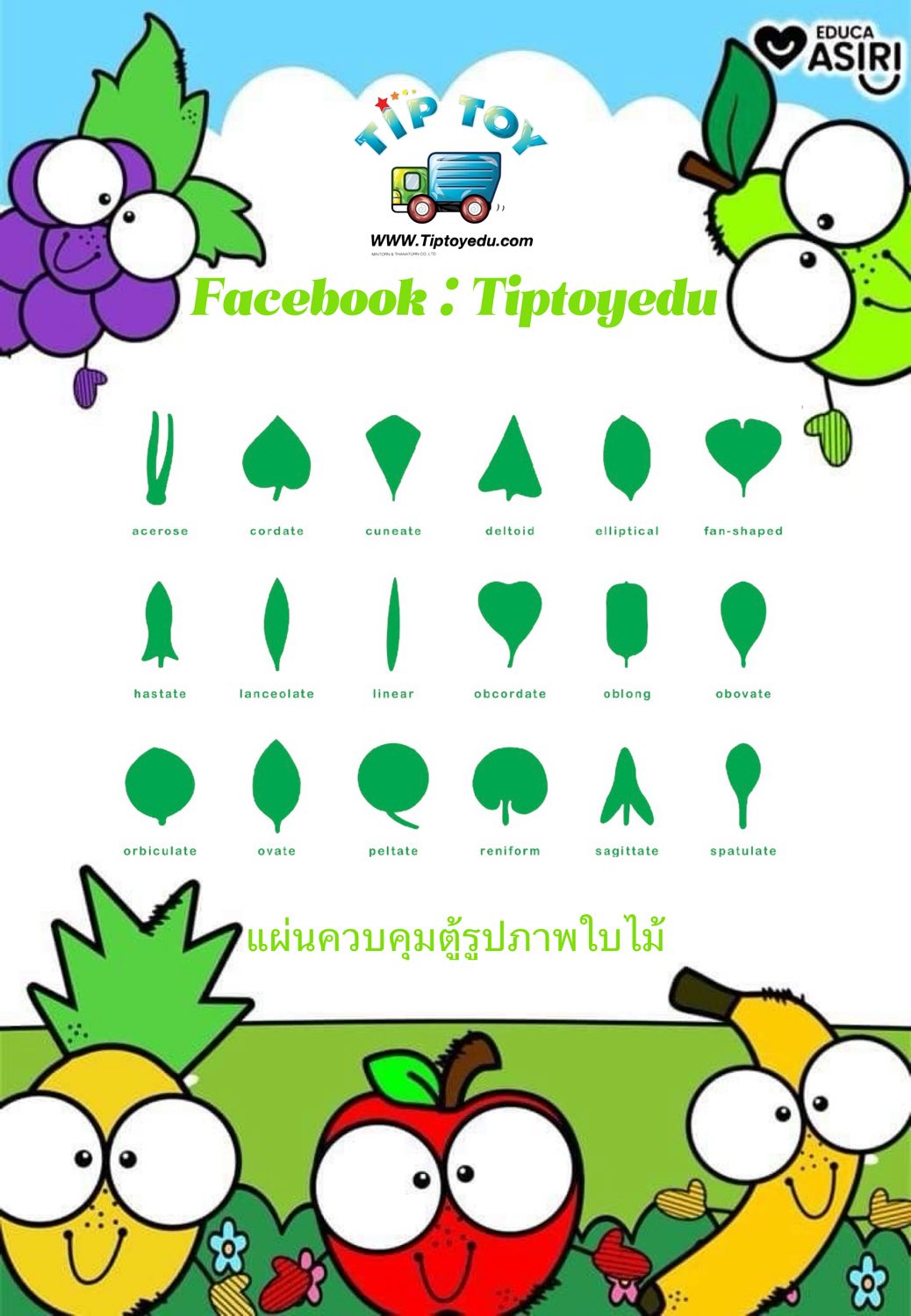 แผ่นควบคุมตู้รูปภาพใบไม้