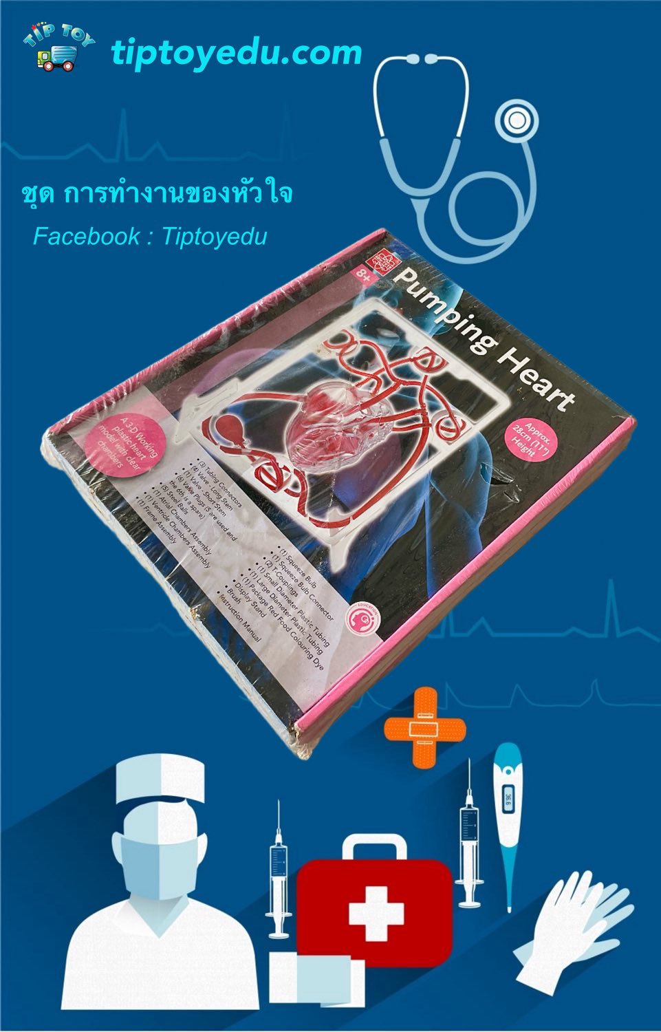 ชุดการทำงานของหัวใจ