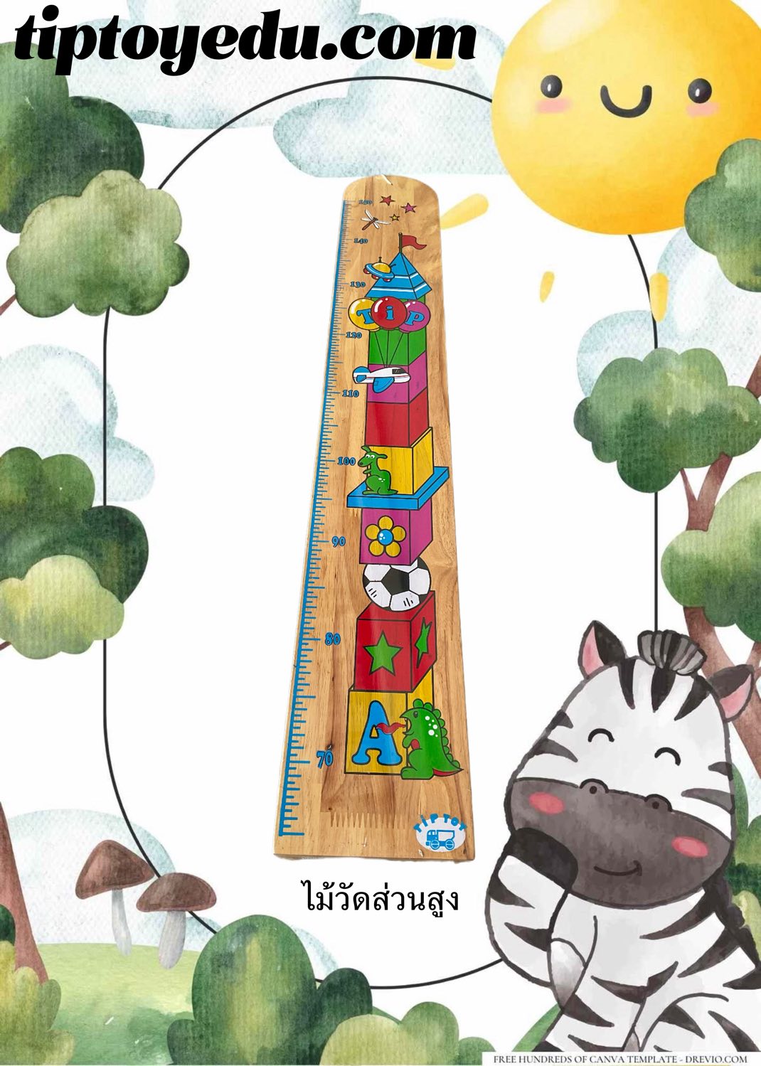 ไม้วัดส่วนสูง